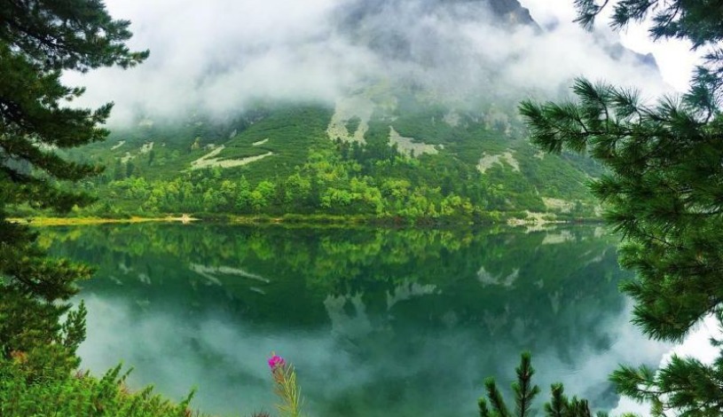 Hotel CROCUS **** Vysoké Tatry